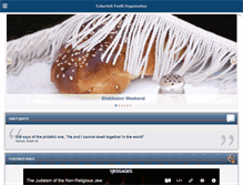 Tablet Screenshot of lubavitchyouth.org